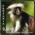Stamp, Zanzibar Red Colobus (Procolobus kirkii), Tanzania,  , Animals (Fauna), Monkeys