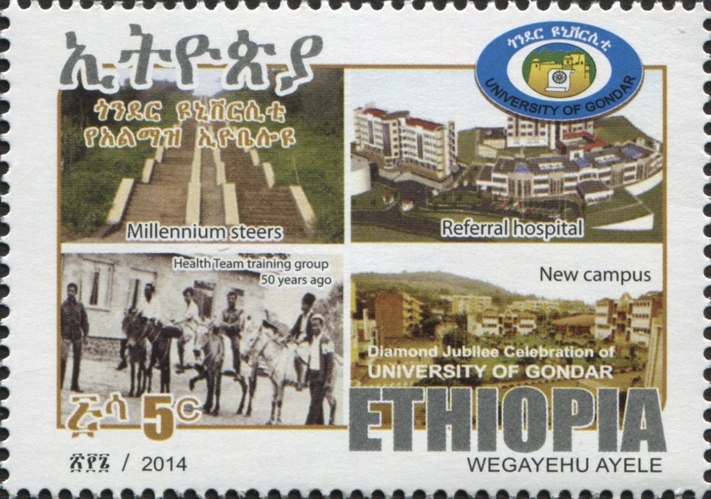 Diamond Jubilee Celebration of the University of Gondar