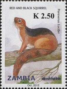 Stamp, Black and Red Bush Squirrel (Paraxerus lucifer) , Zambia,  , Animals (Fauna), Mammals