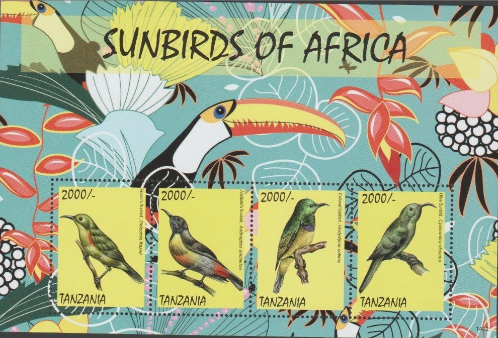 Sunbirds of Africa