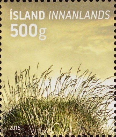 The International Year of Soils