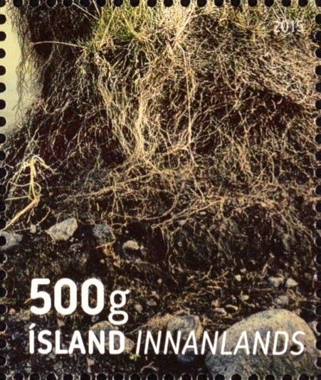 The International Year of Soils