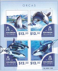Mini Sheet, Orcas (Orcinus orca), Solomon Islands,  , Animals (Fauna), Dolphins, Mammals, Sea (Marine) Mammals, Sea Life