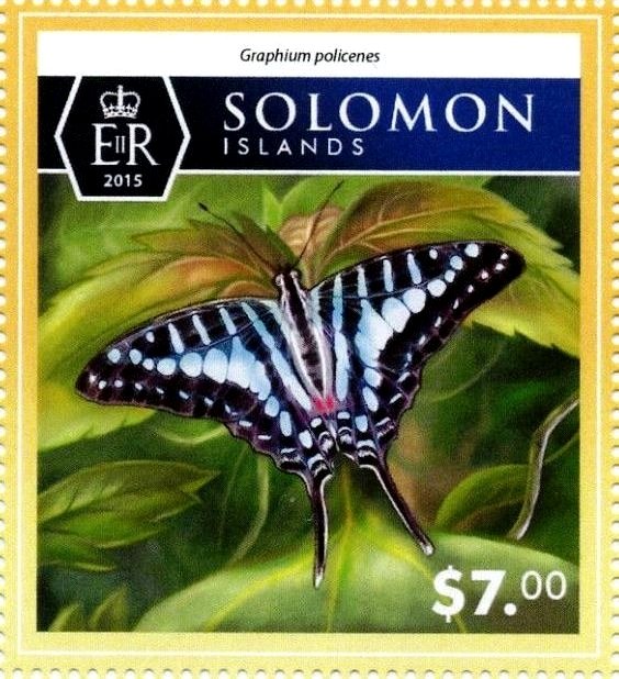 Graphium polycenes