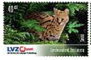 Serval