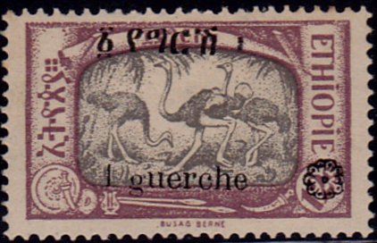 Ostrich (Struthio camelus)