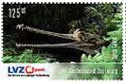 Sunda Gavial