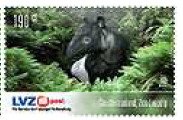 Tapir