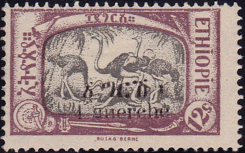 Ostrich (Struthio camelus)
