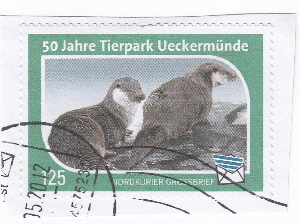 Otter