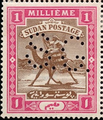Postman with Dromedary (Camelus dromedarius)