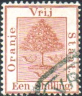 Orange tree
