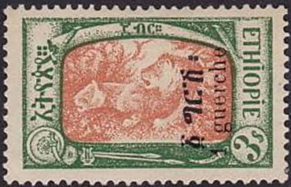 Lion (Panthera leo)