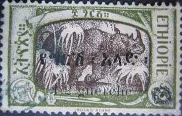 Black Rhinoceros (Diceros bicornis) 1/2g on 8g