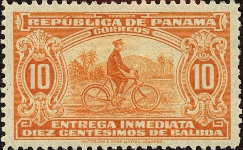 The bicyclist