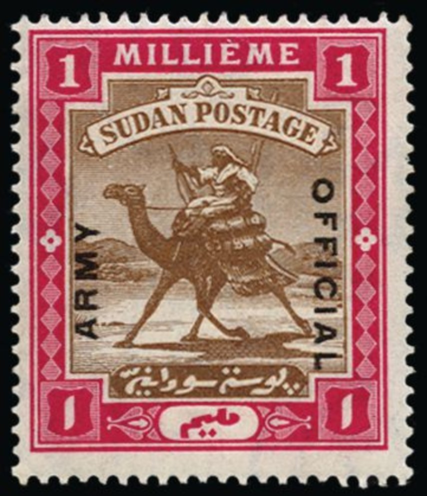 Postman with Dromedary (Camelus dromedarius)