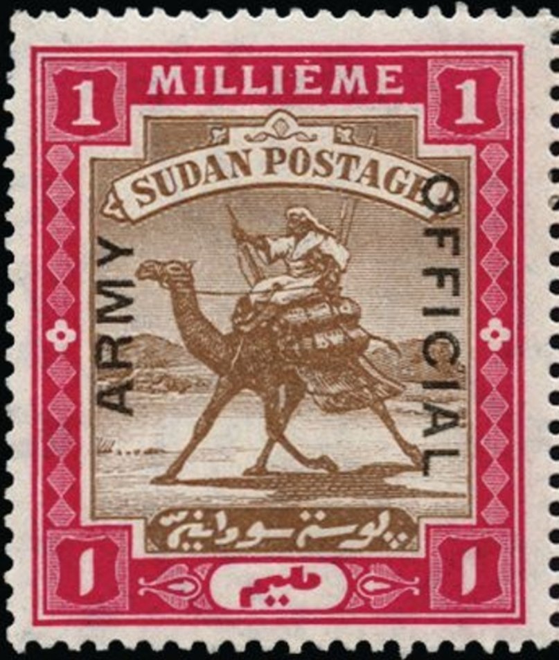 Postman with Dromedary (Camelus dromedarius)