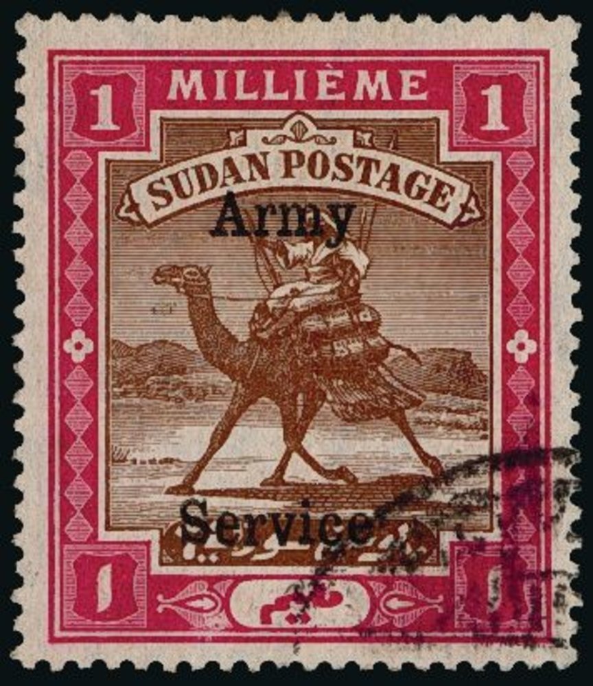 Postman with Dromedary (Camelus dromedarius)