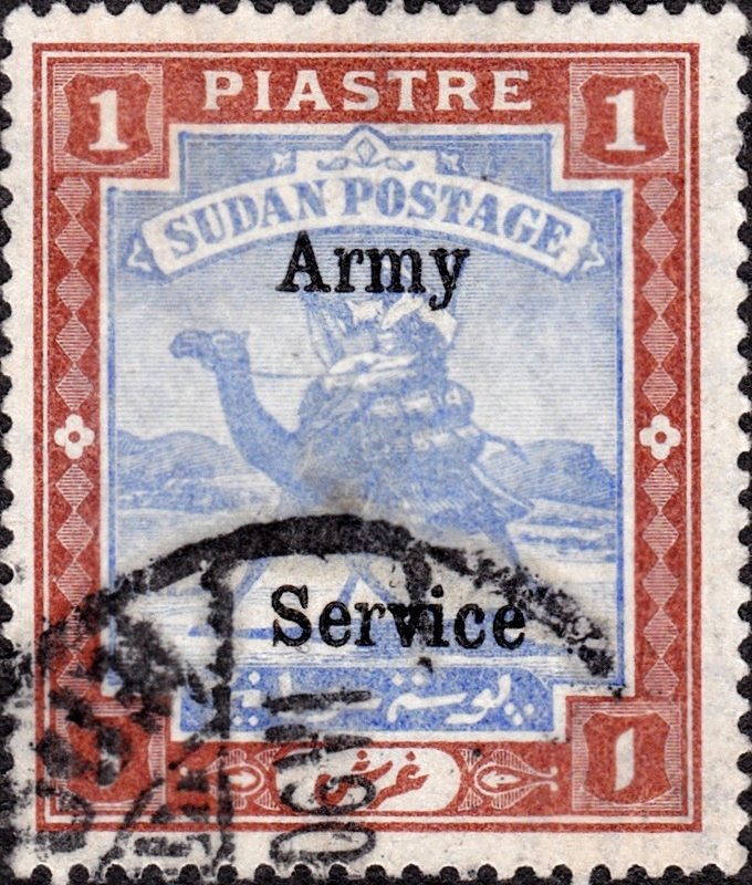 Postman with Dromedary (Camelus dromedarius)