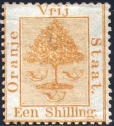 Orange tree