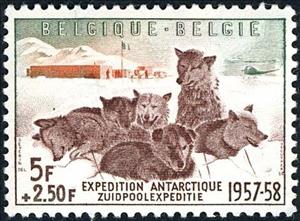 Stamp, Huskies in front of expedition camp, Belgium,  , Mammals, Dogs, Helicopters, Aviation, Expeditions, International Years, Ice, Animals (Fauna)