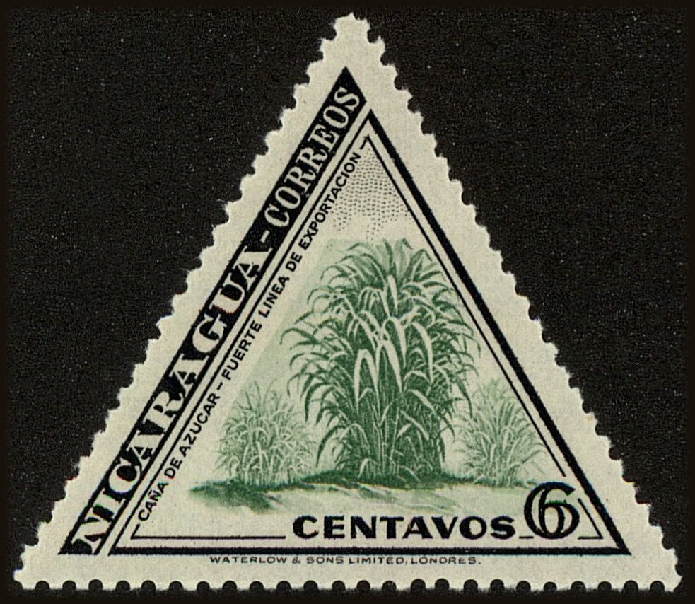 Caña de Azucar