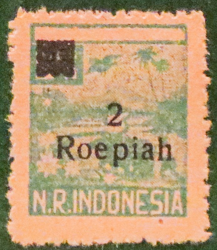 Farmer and Oxen in Rice Paddy