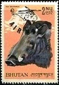 Stamp, Sus salvanius, Bhutan,  