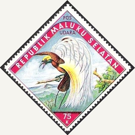 Birds - POS UDARA