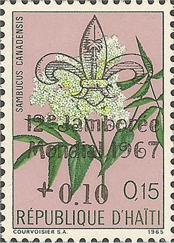 12th World Scout Jamboree 1967