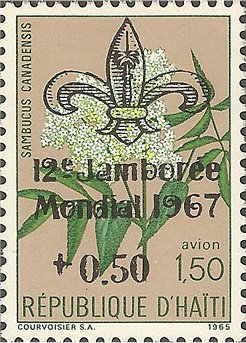 12th World Scout Jamboree 1967
