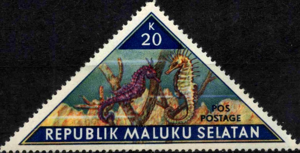 Seahorse