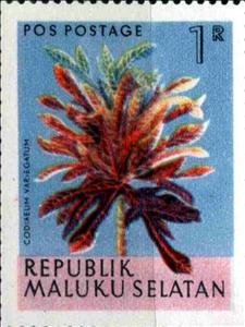 Stamp, Codiaeum Vartegatum, Cinderellas,  , Flowers