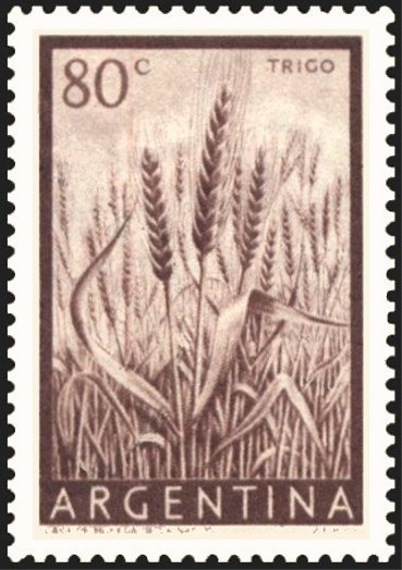 Wheat