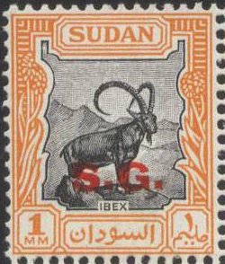 Nubian Ibex (Capra nubiana)
