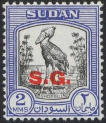 Shoebill (Balaeniceps rex)