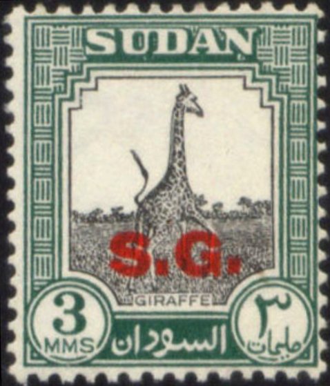 Giraffe (Giraffa camelopardalis)