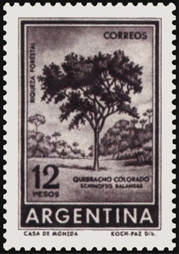 Red Quebracho