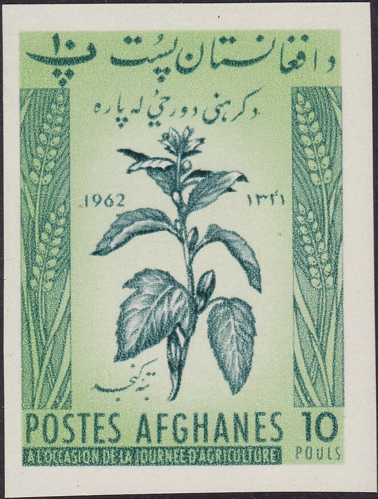Jute plant