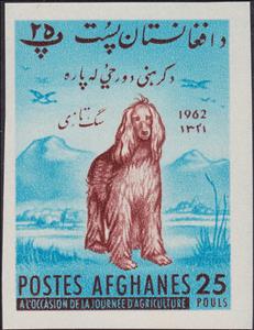 Stamp, Afghan Hound (Canis lupus familiaris), Afghanistan,  , Agriculture, Animals (Fauna), Dogs, Landscapes, Mammals