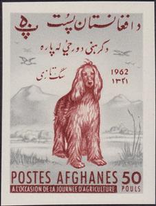 Stamp, Afghan Hound (Canis lupus familiaris), Afghanistan,  , Agriculture, Animals (Fauna), Dogs, Landscapes, Mammals