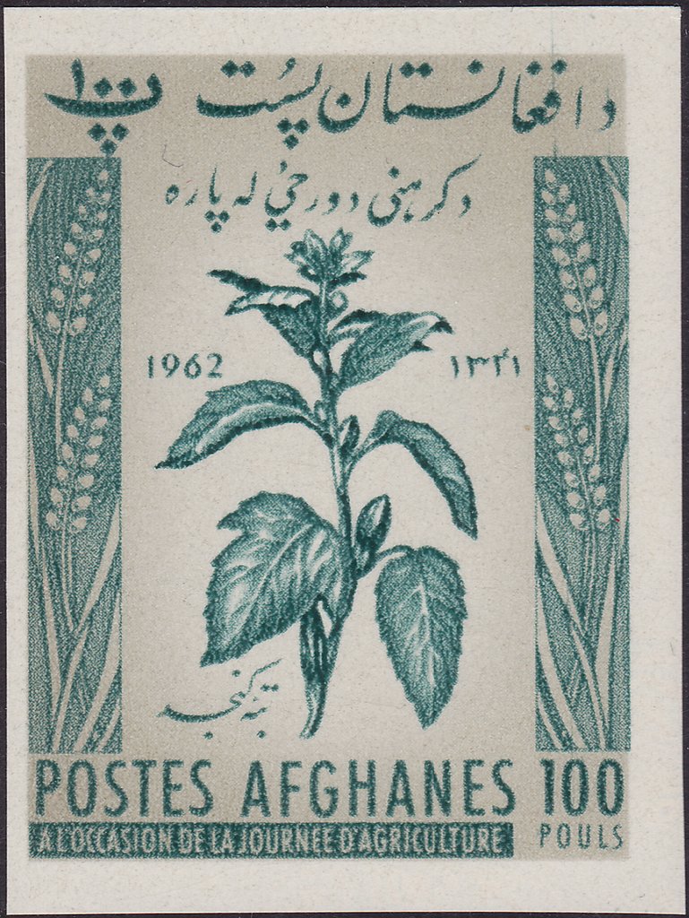 Jute plant