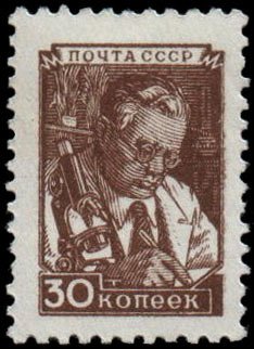Scientist at microscope