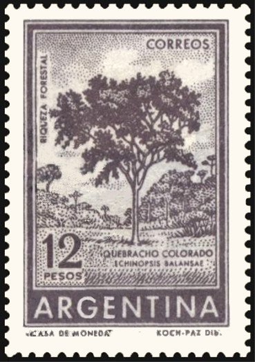 Red Quebracho
