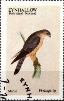 Merlin