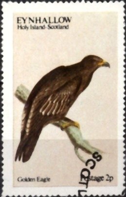 Stamp, Golden Eagle, Cinderellas,  , Birds