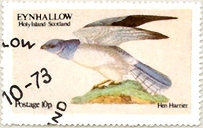 Stamp, Hen harrier, Cinderellas,  , Birds