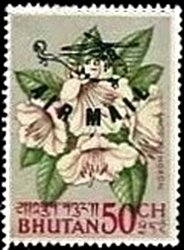 Stamp, Rhododendron rhabdotum, Bhutan,  