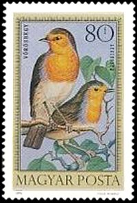 European Robin (Erithacus rubecula)