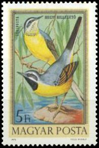 Stamp, Grey Wagtail (Motacilla cinerea), Hungary,  , Birds, Animals (Fauna)